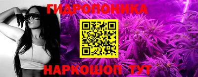 a pvp Малгобек