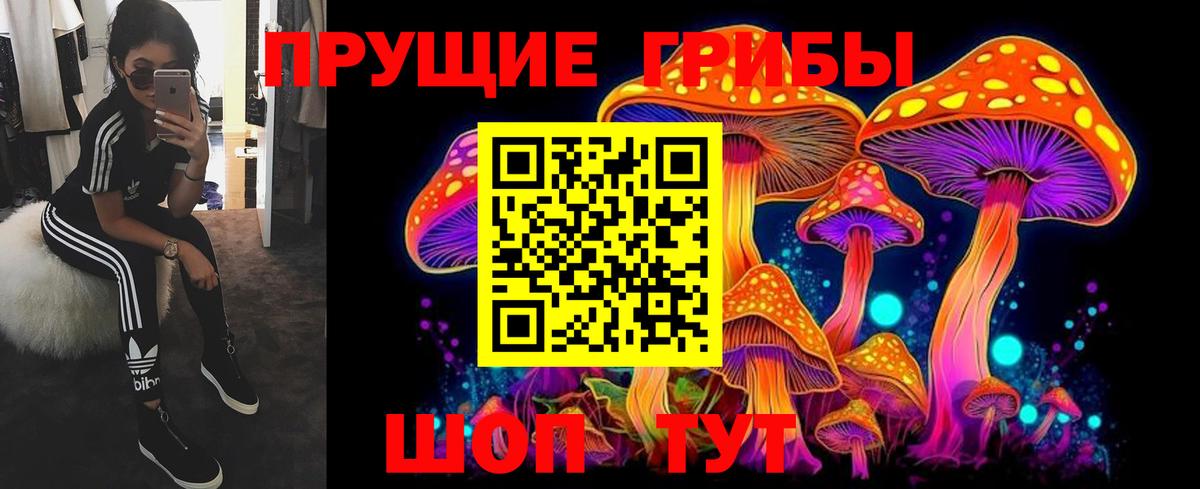 Псилоцибиновые грибы Cubensis Гуково
