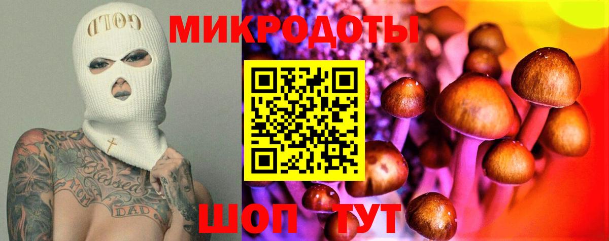 Гуково  Псилоцибиновые грибы Psilocybine cubensis  Вход с VPN 